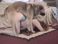 Teaching a big brown dog to fuck a cum-hole